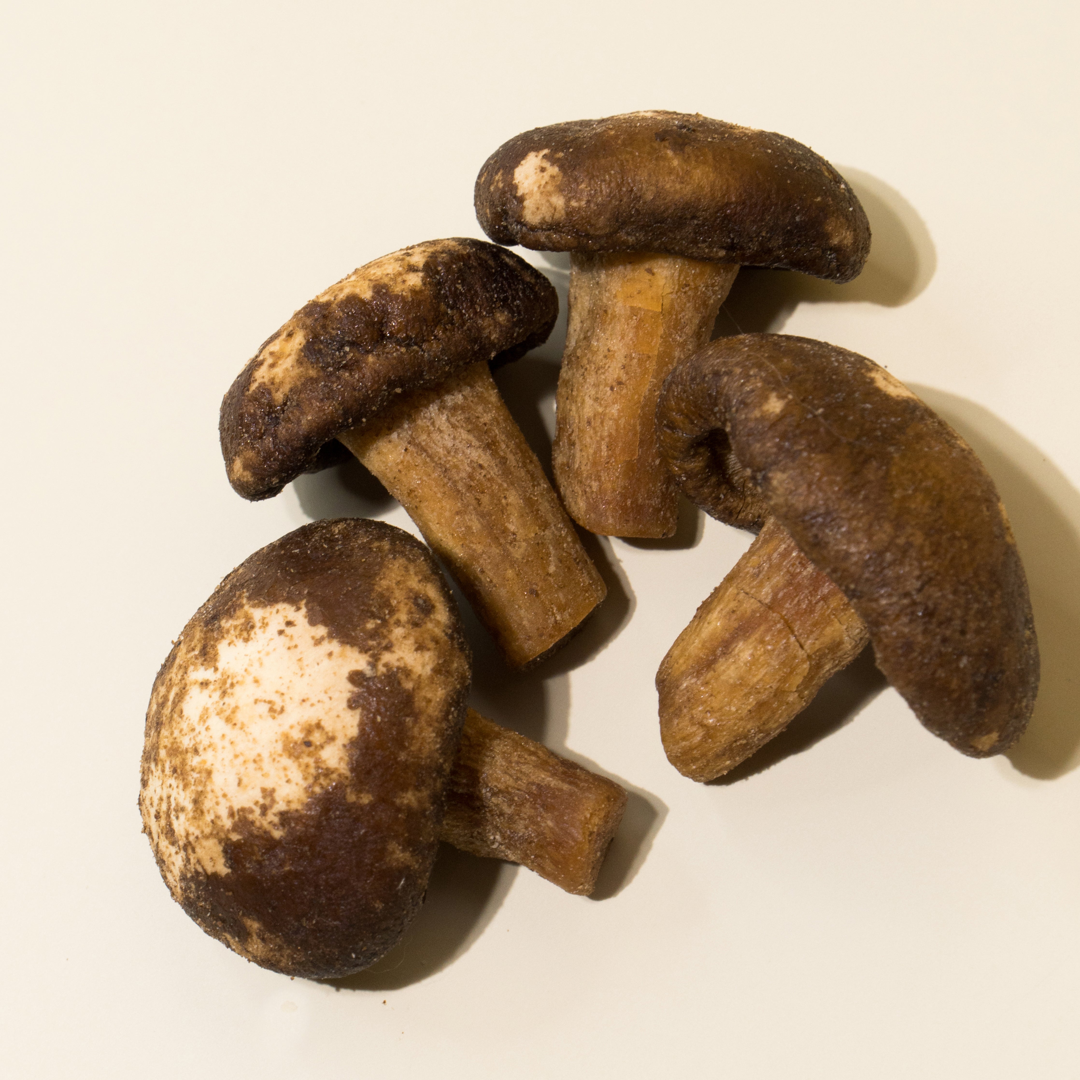 Crunchy Mushroom Chips 60g